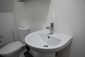 Cosy Loft situated on shores of Lough Neagh的白色的浴室设有水槽和卫生间。