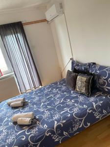 诺维萨德Apartmani Petra的一间卧室配有蓝色的床和两个枕头