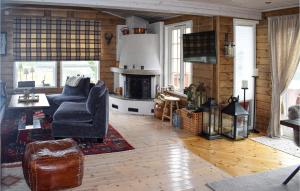 尤坎Nice Home In Rjukan With Wifi的带沙发和壁炉的客厅