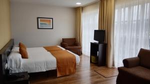 Garaña帕拉西奥加拉纳酒店的酒店客房,配有床和电视