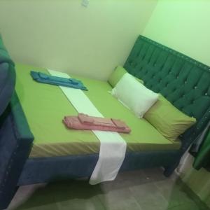 姆特瓦帕La Grande cosy studio apartment的绿色的床,上面有两双鞋