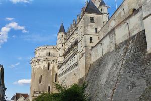 阿姆博斯Splendid apartment at the foot of the castle of Amboise - View of the Loir的墙上的城堡