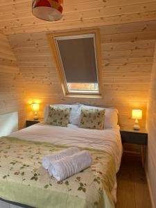 LeightonHedgehog Glamping Pod School House Farm的一间卧室配有一张带两盏灯的床和一台平面电视。