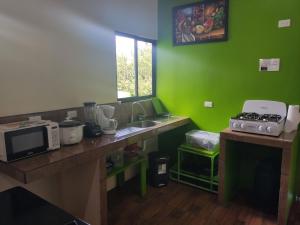 PoásEl Buda的厨房设有水槽和绿色的墙壁