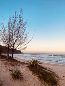 加罗帕巴Pousada Caminho do Mar MADHOUZE的一片拥有树木和海洋的沙滩