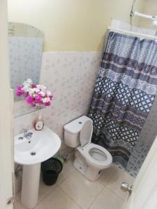 拉斯塔布拉斯Hostal VILLAS DON PABLO LAS TABLAS的浴室设有卫生间、水槽和淋浴帘