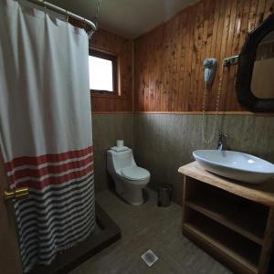 瓜达尔港Cabañas El Maiten的一间带卫生间和淋浴帘的浴室