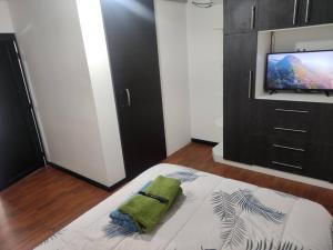 伊瓦拉Zidko Guest House的一间卧室配有一张床和一台平面电视