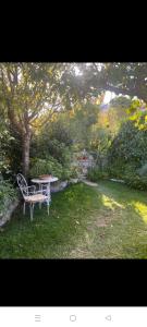 贝瑙卡斯纳尼度假屋的桌子和长凳,在树丛中的院子