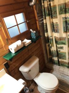 海沃德Lakeshore Lily Pad的一间带卫生间、水槽和窗户的浴室