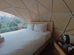 塔巴南Bali Jungle Camping by Amerta Experience的玻璃墙房间里一张床位