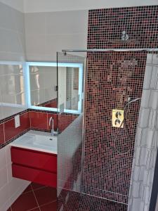 佩罗斯-吉雷克Longère rénovée sur les hauteurs de Perros-Guirec的红色瓷砖浴室设有水槽和淋浴
