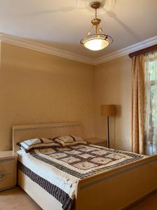 塞凡Orsetto的一间卧室配有一张床和一个吊灯