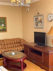 塞凡Orsetto的带沙发和平面电视的客厅