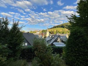 施马伦贝格Schöne Aussicht Sauerland by Kölbel Familienurlaub mit Hund的一群有教堂背景的房屋