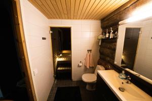 库萨莫Rukankuukkeli b13的一间带卫生间和水槽的小浴室