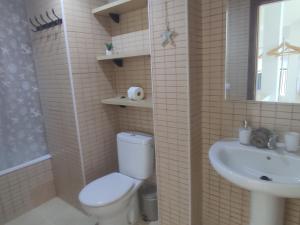 圣卡洛斯拉腊皮塔Els Pilanets的一间带卫生间和水槽的浴室