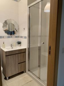 科英布拉Deluxe Studio com terraço e varanda privada - 'Casinha da Amoreira' Guesthouse的带淋浴、盥洗盆和镜子的浴室