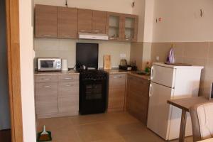 查查克Exceptional Suite的小厨房配有冰箱和微波炉。