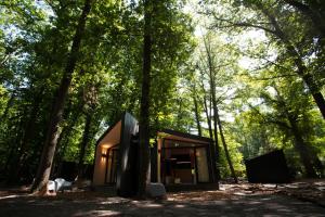 阿纳姆Buitenplaats Petersburg的树林中的一个树屋