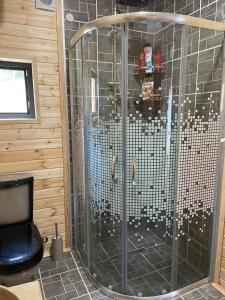 梅斯蒂亚wood house的浴室里设有玻璃门淋浴