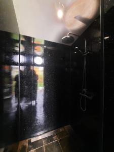 赫里福德Greenacres Glamping的一间设有黑色墙壁淋浴的浴室