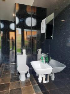赫里福德Greenacres Glamping的一间带卫生间和水槽的浴室