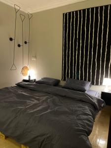哈萨Entire apartment的卧室内的一张大床,配有两盏灯