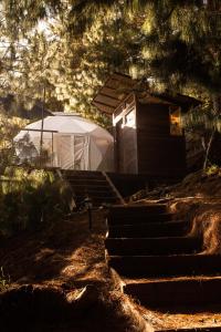 苏埃斯卡Refugios de Alta Güita的森林中带白色帐篷的凉亭