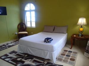 Tortola IslandAbigail's Splendor -2 Bedroom Entire Apartment的一间位于绿色客房内的带白色床的卧室