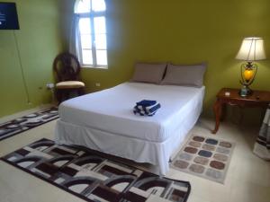 Tortola IslandAbigail's Splendor -2 Bedroom Entire Apartment的卧室配有一张白色的床、桌子和窗户。