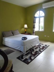 Tortola IslandAbigail's Splendor -2 Bedroom Entire Apartment的卧室配有白色的床和窗户。