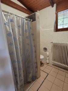 KleinichRuheidylle Weitblick的带淋浴帘和卫生间的浴室