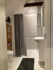 瓦尔德Varde Bed and Kitchen的带淋浴、卫生间和盥洗盆的浴室