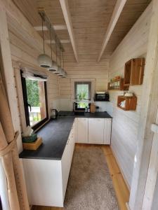 盖奇瓦乌德Domek 105的小屋内的厨房,设有木墙