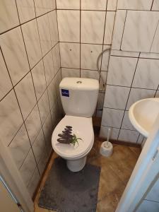 格拉耶沃Łapu Capu - Mieszkanie dla 4 osób的浴室设有卫生间,座位上备有玩具