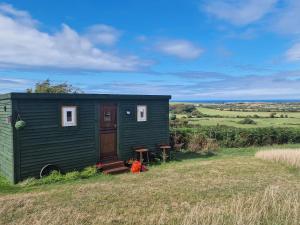 霍利黑德Stunning 1-Bed shepherd hut in Holyhead的田间中的一个绿色小房子