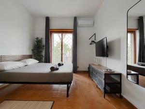 罗马Appartamento di design的一间卧室配有一张床和一台平面电视