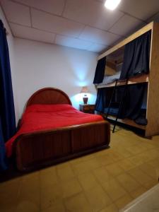 迈普OliWine hostel的一间卧室配有一张床和两张双层床。