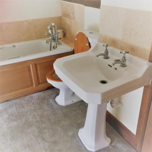 汤顿Meg's Cottage的浴室配有盥洗盆、卫生间和浴缸。