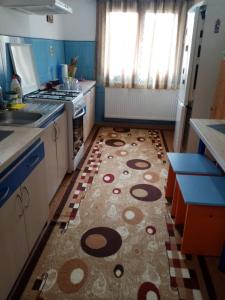 坎普朗莫道尼斯Casa Cristian的厨房铺有地板上的地毯。