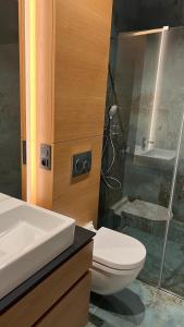 奥洛穆茨Kamel club restaurace a penzion的浴室配有卫生间、盥洗盆和淋浴。
