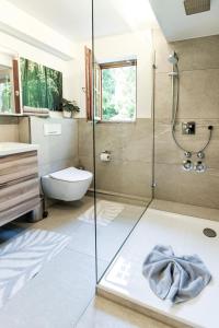 上迈塞尔施泰因Ferienwohnung Alpenherz的带淋浴、卫生间和盥洗盆的浴室