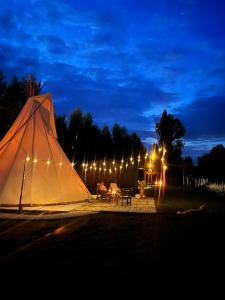 LembekeComfort Tipi Marie, Tipi Bo Deluxe & tent Nicolaï - 'Glamping in stijl'的相册照片