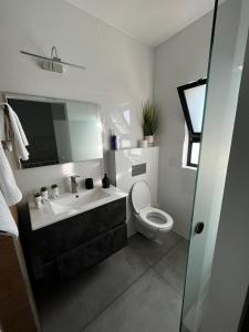 达夫纳נוף לחרמון的一间带水槽、卫生间和镜子的浴室
