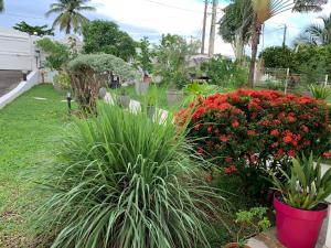 勒拉芒坦Villa Ti'Kemy avec piscine au sel的院子里种着红色花卉的花园