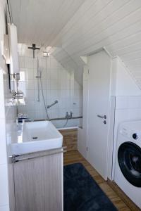 哈里斯莱Frühlingsbogen的一间带水槽和洗衣机的浴室
