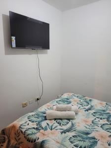 圣米格尔·德·图库玛Departamento Calle San Martin ( Microcentro)的卧室配有一张床铺,墙上配有电视