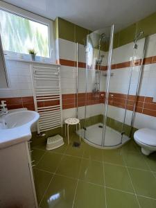 Spodnje GorjeApartma Slivnik的带淋浴、卫生间和盥洗盆的浴室
