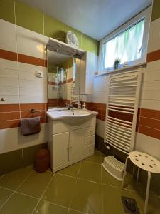 Spodnje GorjeApartma Slivnik的一间带水槽和镜子的浴室